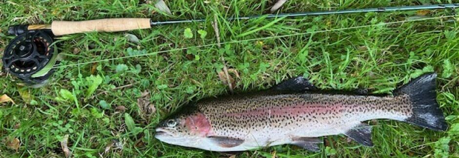 Pittleworth Trout Lake